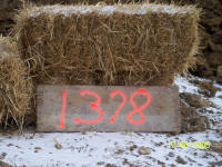 20061207house04.JPG (1077950 bytes)