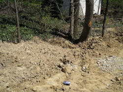 20070419house04.JPG (174643 bytes)