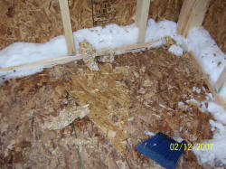 20070212house12.JPG (111743 bytes)