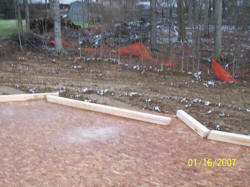 20070116house567.JPG (89579 bytes)