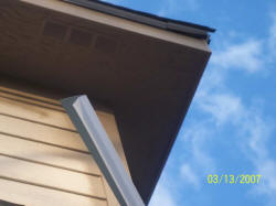 20070313house04.JPG (44880 bytes)