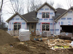 20070313house17.JPG (126497 bytes)