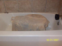 20070521house07.JPG (46832 bytes)